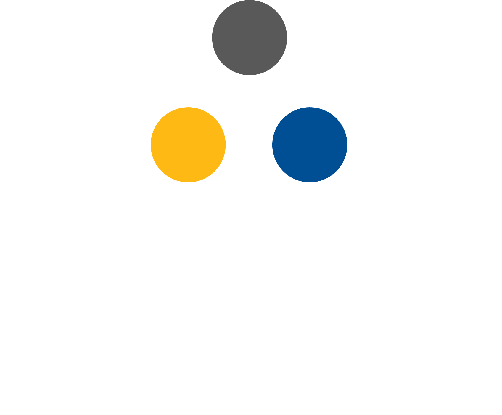 Trium — Escola de Negócios